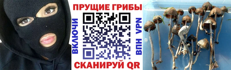 Галлюциногенные грибы Magic Shrooms  даркнет сайт  гидра как зайти  Весьегонск 